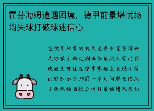 霍芬海姆遭遇困境，德甲前景堪忧场均失球打破球迷信心